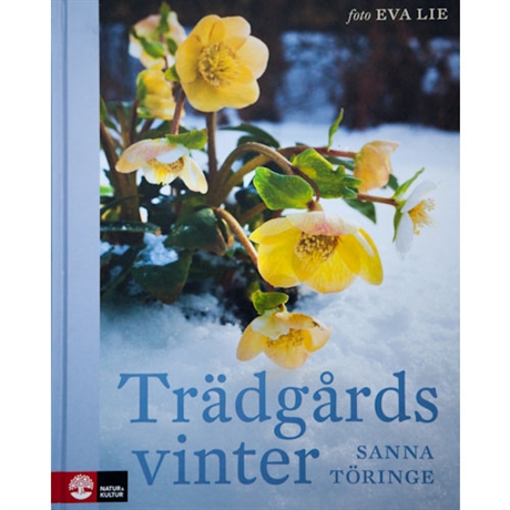 Trädgårdsvinter